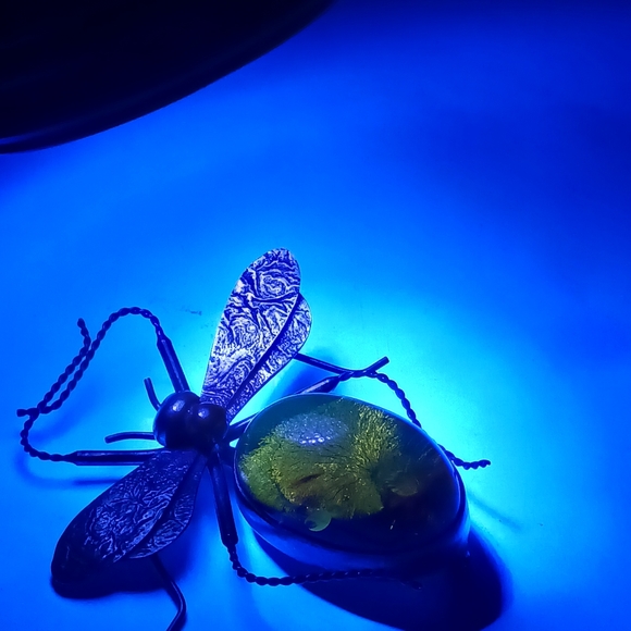 Vintage Amber Sterling Silver Bug Insect Brooch Pin - Picture 8 of 13